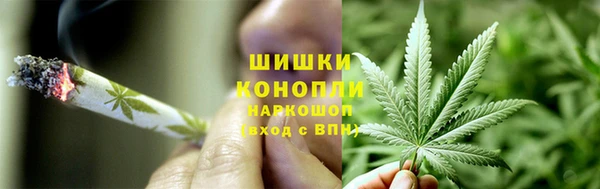a pvp Гусев