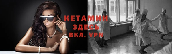 шишки Дмитров
