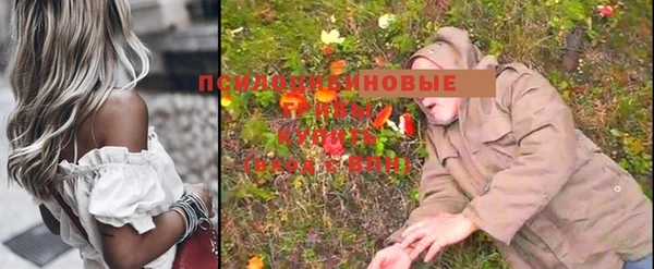 a pvp Гусев