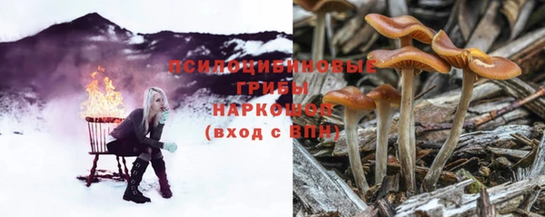 a pvp Гусев