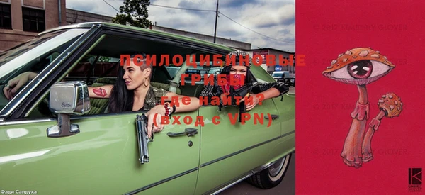 a pvp Гусев