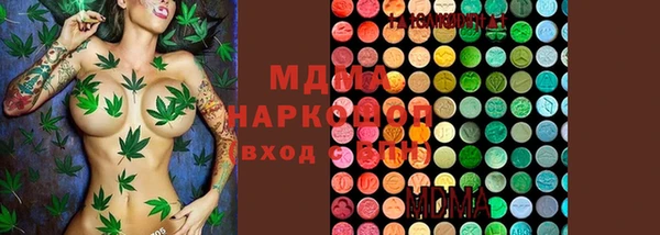 ГАЛЛЮЦИНОГЕННЫЕ ГРИБЫ Дмитриев