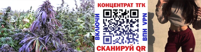 ТГК THC oil  Купить  Нижний Ломов 
